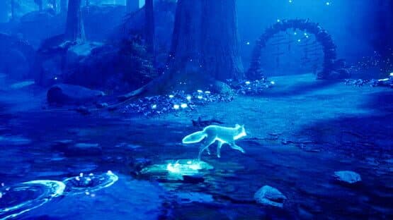 Spirit of the North — screenshot 2