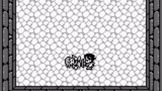 Final Fantasy Adventure — screenshot 2