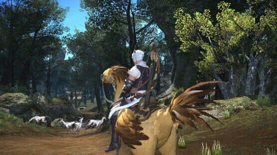 Final Fantasy XIV: Collector's Edition — screenshot 3