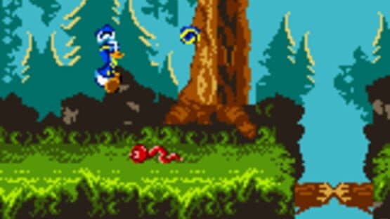 Disney's Donald Duck: Goin' Quackers — screenshot 3