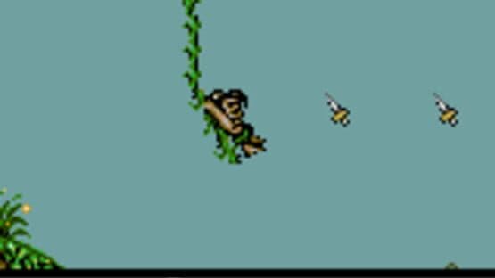 Tarzan: Lord of the Jungle — screenshot 1