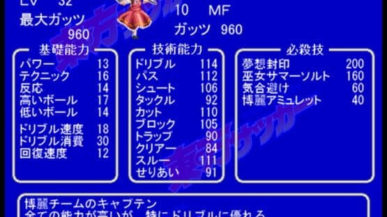 Touhou Soccer — screenshot 2
