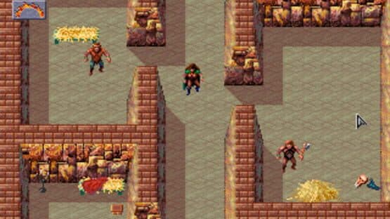 Dark Sun: Shattered Lands — screenshot 5