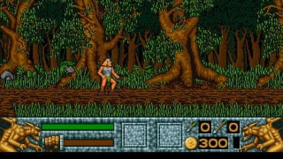 Barbarian II — screenshot 2