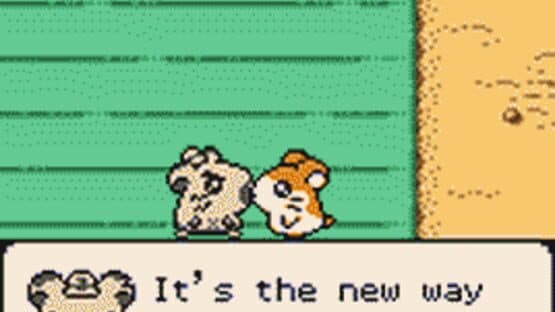 Hamtaro: Ham-Hams Unite! — screenshot 2