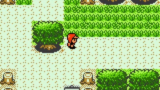 Pokémon Bronze — screenshot 5