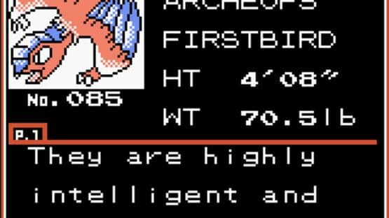 Pokémon Bronze — screenshot 6