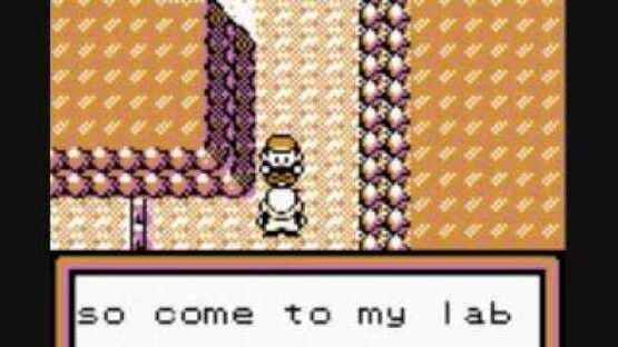 Pokémon Brown — screenshot 2