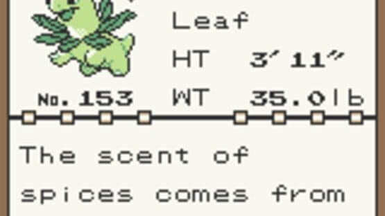 Pokémon Brown — screenshot 4