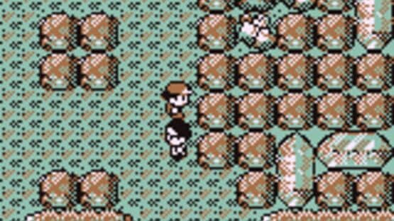 Pokémon Brown — screenshot 5