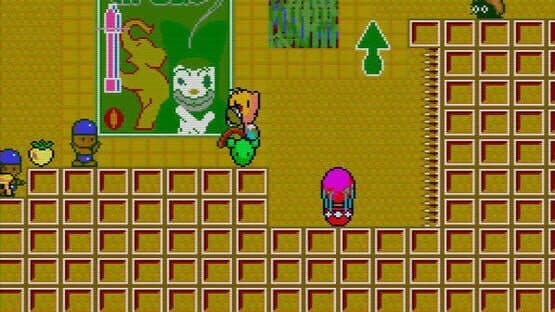 The NewZealand Story — screenshot 2