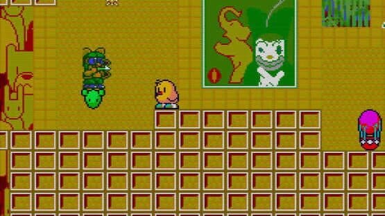 The NewZealand Story — screenshot 3
