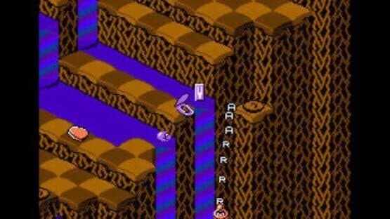 Snake Rattle 'n' Roll — screenshot 4