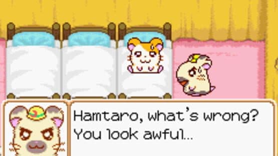 Hamtaro: Ham-Ham Heartbreak — screenshot 3