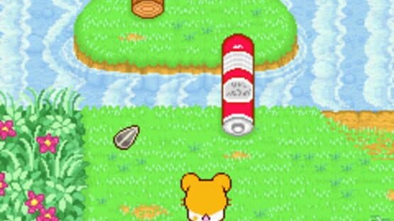 Hamtaro: Ham-Ham Heartbreak — screenshot 6