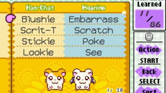 Hamtaro: Ham-Ham Heartbreak — screenshot 7