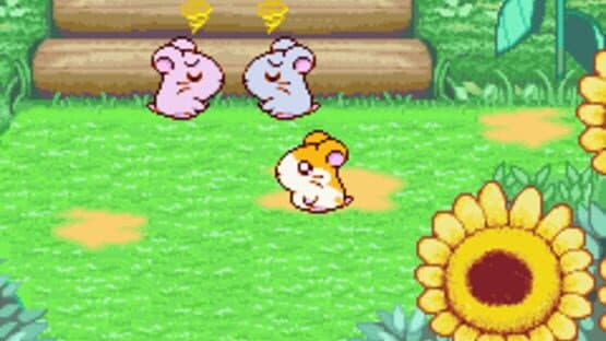 Hamtaro: Ham-Ham Heartbreak — screenshot 8