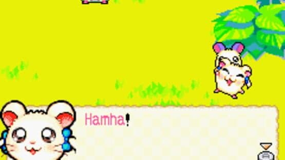 Hamtaro: Rainbow Rescue — screenshot 4