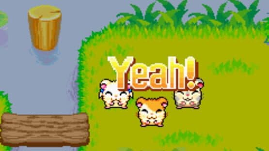Hamtaro: Rainbow Rescue — screenshot 7