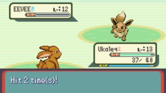Pokémon Ruby Destiny: Life of Guardians — screenshot 7