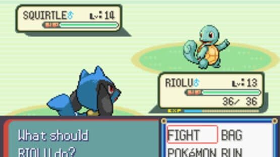 Pokémon Ruby Destiny: Life of Guardians — screenshot 8
