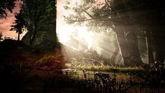 My Name is Sarah — screenshot 6