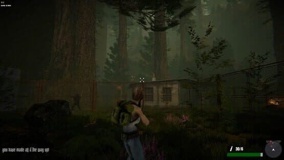 Jane Westlake Adventures - The Mystery Train — screenshot 7