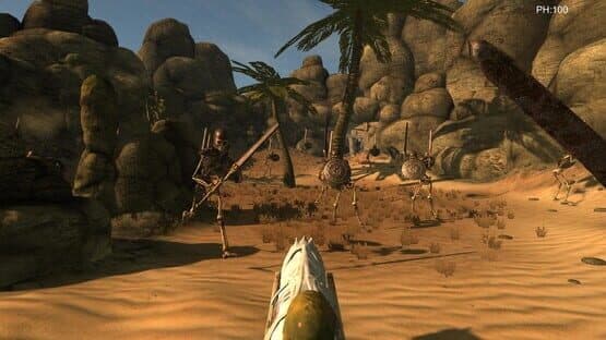 Desert coachman — screenshot 1