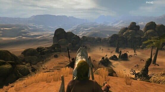 Desert coachman — screenshot 2