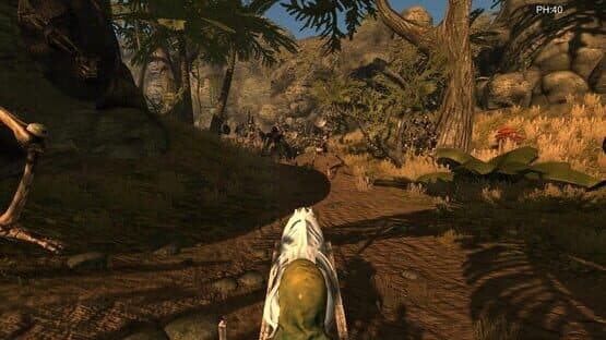 Desert coachman — screenshot 5