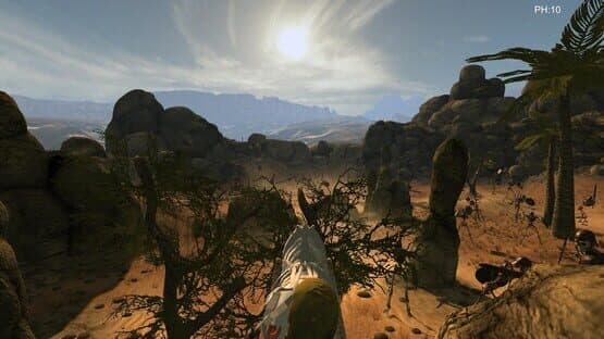 Desert coachman — screenshot 6