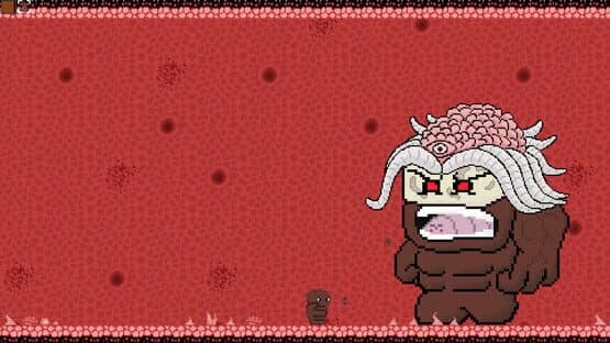 Ninja Turdle — screenshot 3