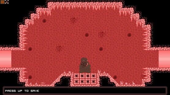 Ninja Turdle — screenshot 8