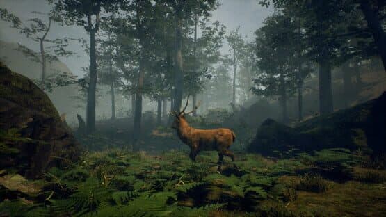 Folklore Hunter — screenshot 6