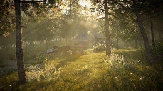 Forest Ranger Simulator — screenshot 5