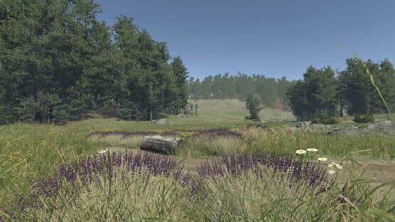 Lavender — screenshot 1