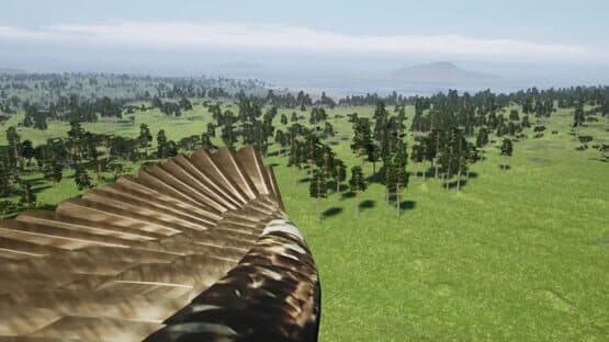 DreamFly — screenshot 1
