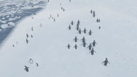 Natural Instincts — screenshot 3