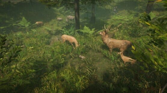 Natural Instincts — screenshot 4