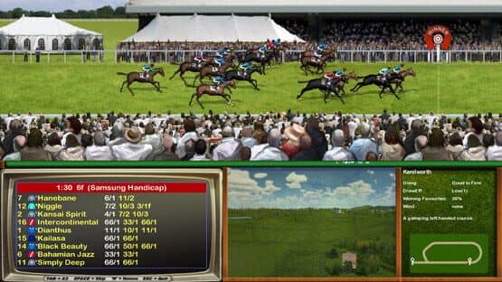Starters Orders Classic Horse Racing — screenshot 2