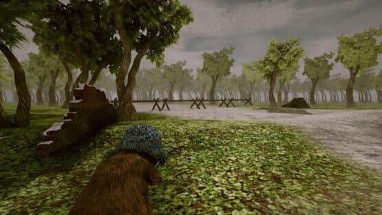 Bear, Vodka, Fall of Berlin! — screenshot 3