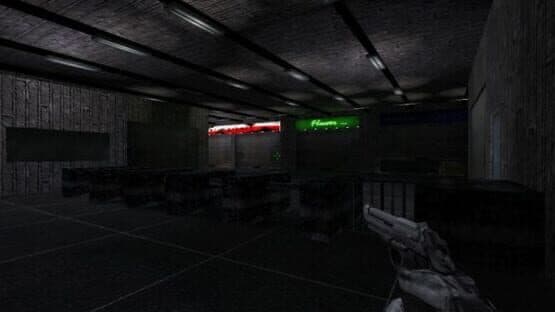 Afraid of Monsters — screenshot 6