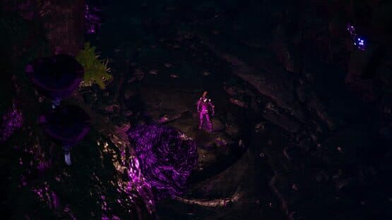 Natural Balance: Chronicles — screenshot 4