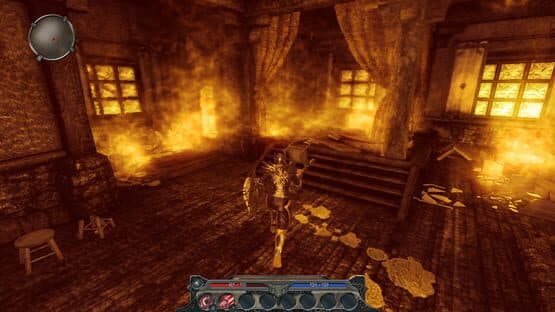 Divinity II: Flames of Vengeance — screenshot 5