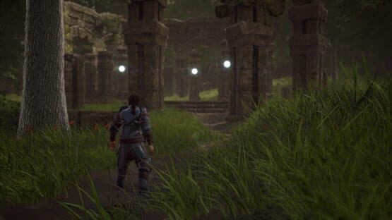 Soulborn — screenshot 5