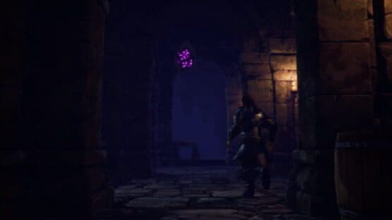 Soulborn — screenshot 6
