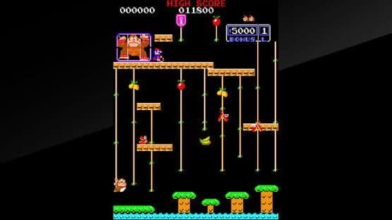 Arcade Archives: Donkey Kong Jr. — screenshot 3