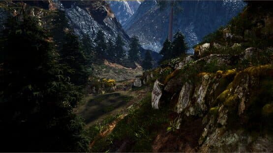 Run — screenshot 2