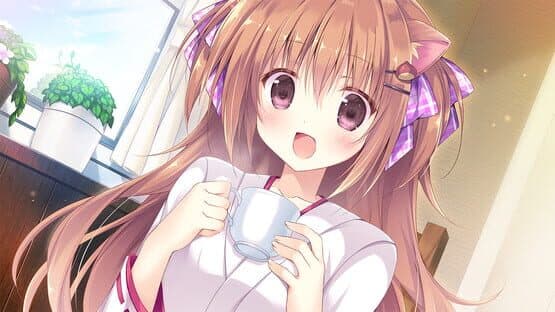 Amairo Chocolate — screenshot 1