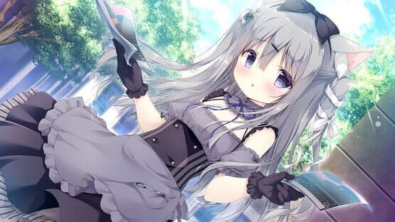 Amairo Chocolate — screenshot 3